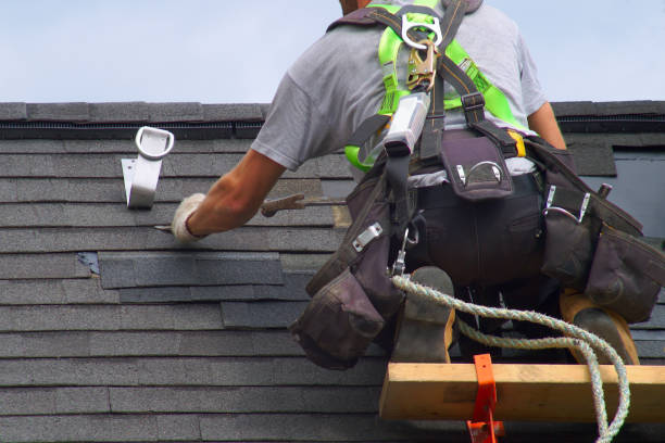 Best Roof Leak Repair  in Meeker, CO