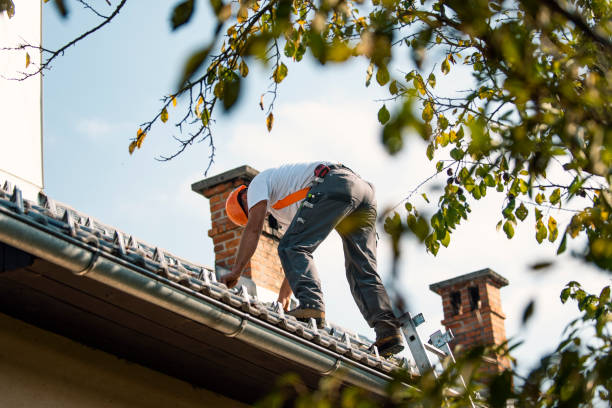 Best Roof Replacement Cost  in Meeker, CO