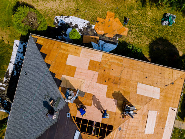 Best Shingle Roofing Installation  in Meeker, CO