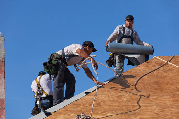 Best Local Roofing Companies  in Meeker, CO