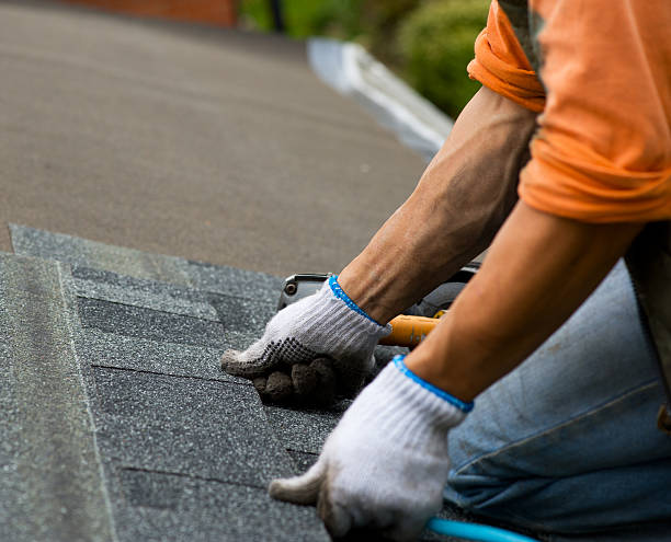 Best Gutter Installation and Roofing  in Meeker, CO